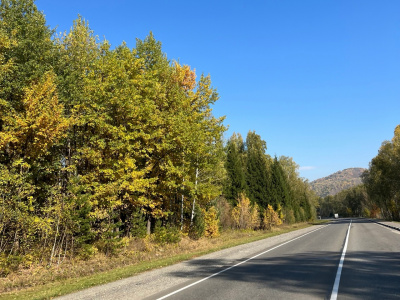 Осень в горах Алтая